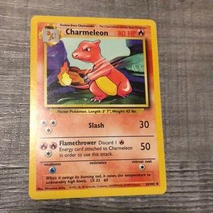 Charmeleon Pokémon Care